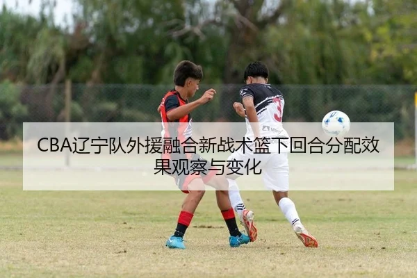CBA辽宁队外援融合新战术篮下回合分配效果观察与变化
